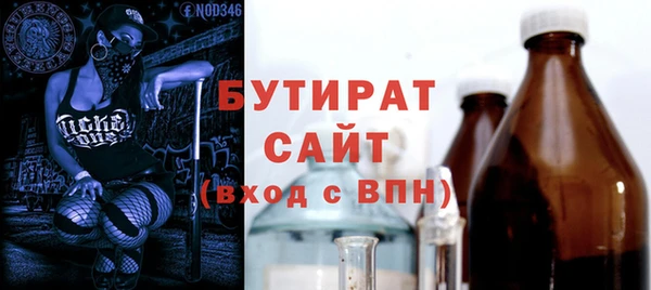 гидра Снежногорск