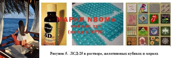 гидра Снежногорск