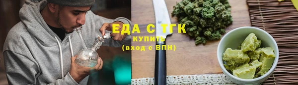 гидра Снежногорск