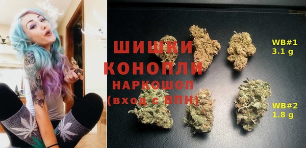 гидра Снежногорск