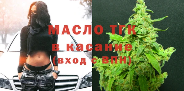 гидра Снежногорск