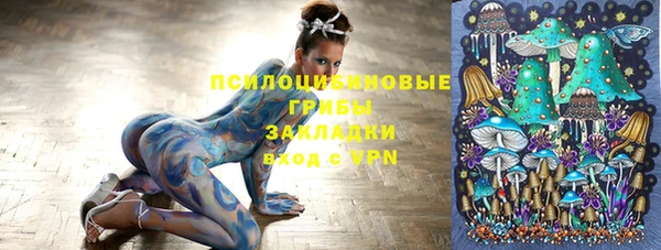 гидра Снежногорск