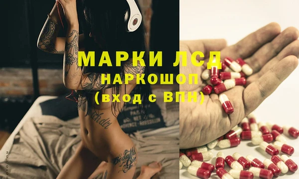 гидра Снежногорск