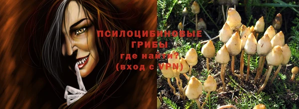 гидра Снежногорск