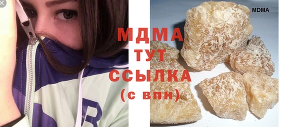 гидра Снежногорск