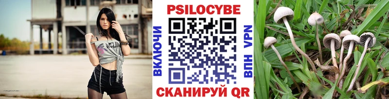 Псилоцибиновые грибы мицелий  omg маркетплейс  Яранск 
